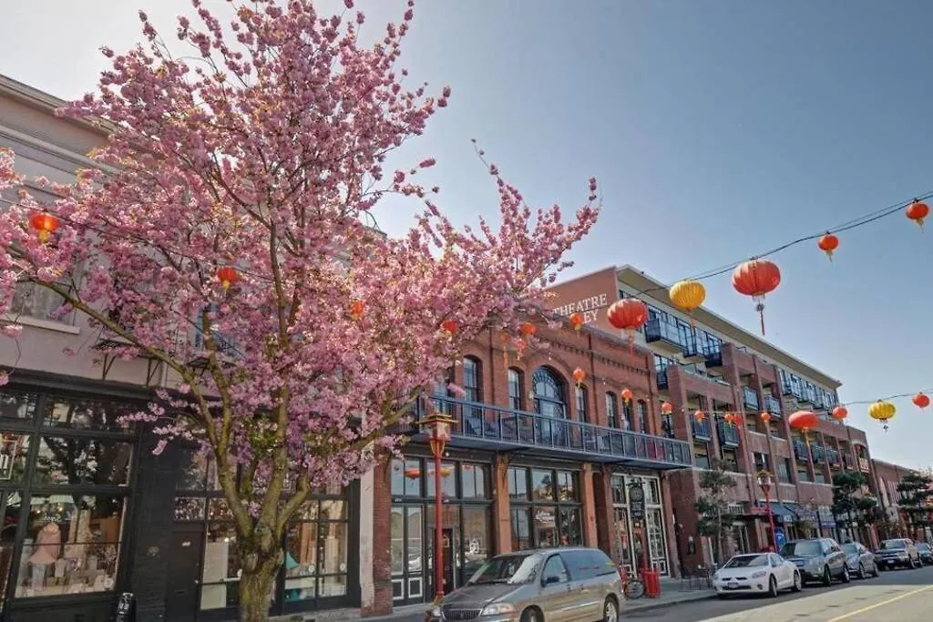 Clean 3Rd Floor Executive 1 Bedroom Apt In Old Town China Town Victoria